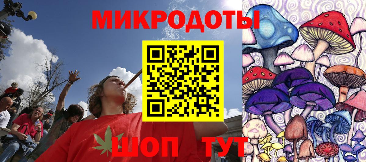 Псилоцибиновые грибы Psilocybe Назрань