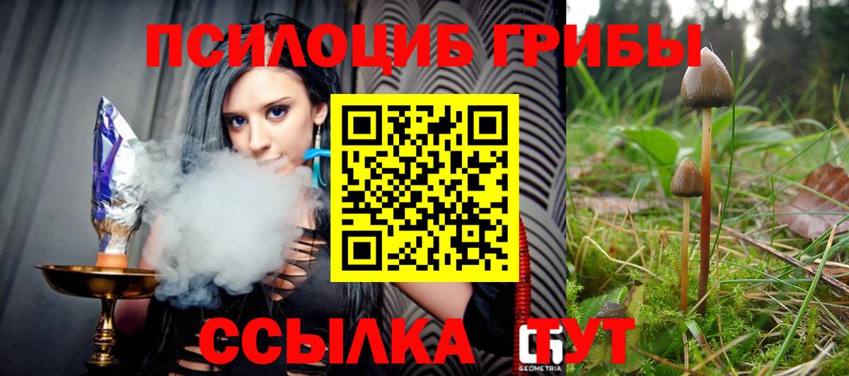 Псилоцибиновые грибы Psilocybe  Вход с VPN  Псилоцибиновые грибы Psilocybine cubensis  Назрань 