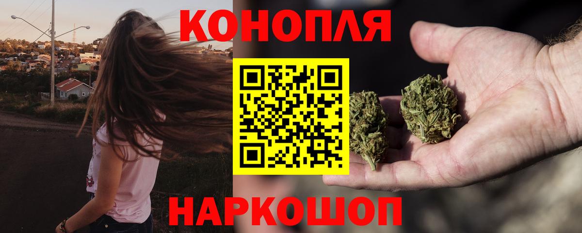 Конопля сатива Назрань
